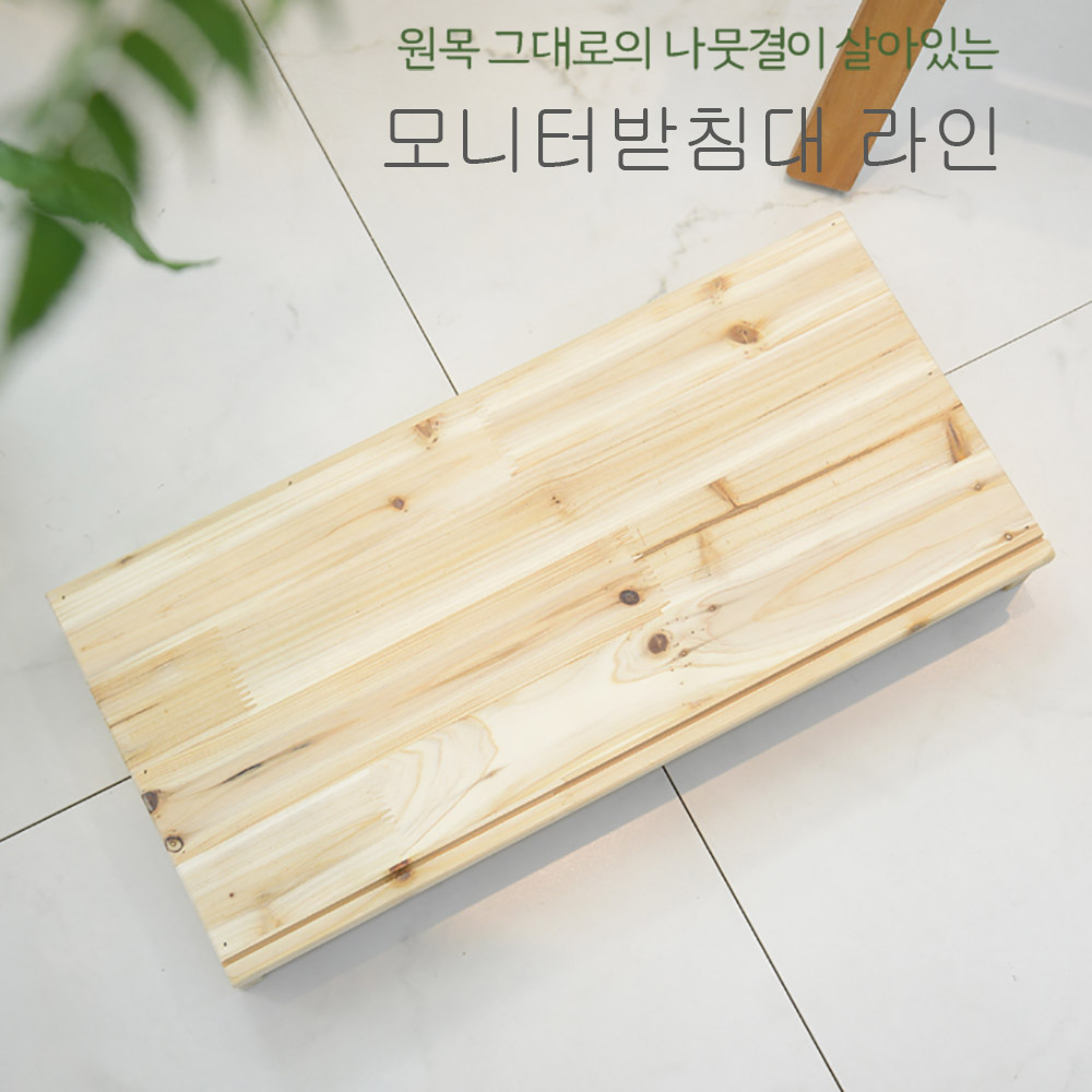 모니터-라인.jpg
